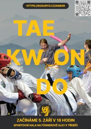 taekwondo